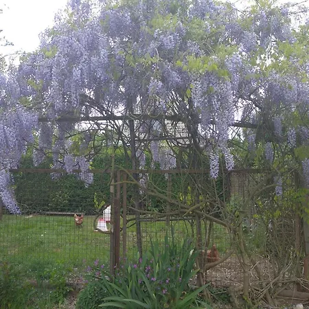 Nordwind Sjut Lejlighed